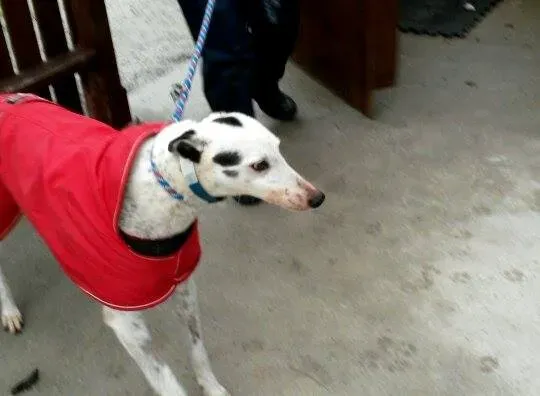 11016579 10204803845073779 384437773 n