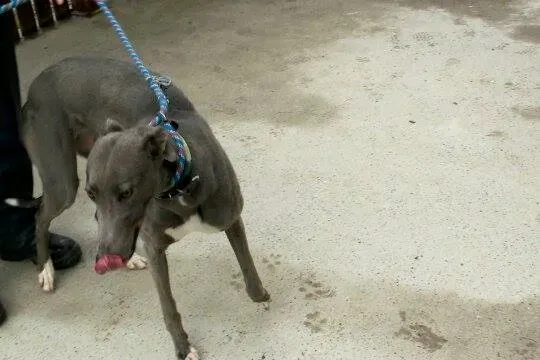 11016580 10204803843833748 176821285 n