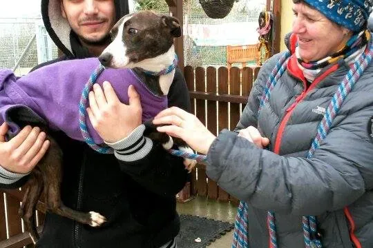 11016624 10204803976757071 1560629835 n