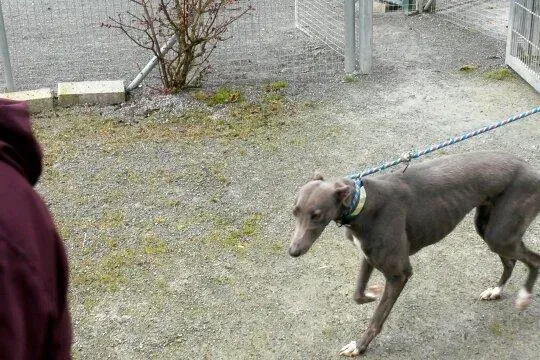 11016665 10204803843793747 644158657 n