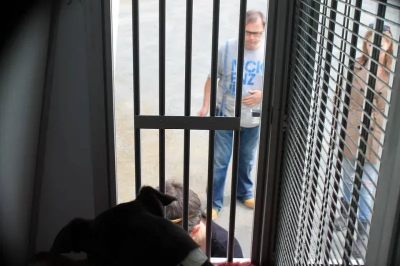 11017555 1014949355189430 553504507732419892 n