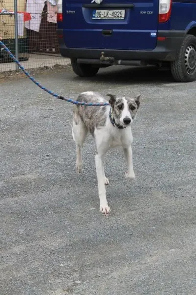 11017689 1014947595189606 8827139736381425052 n