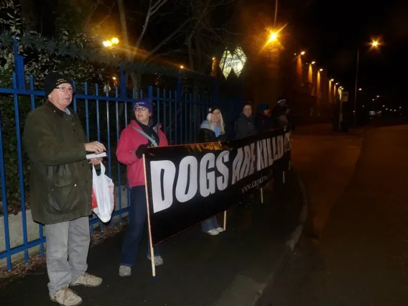 11017841 904662339578579 6786190302083668535 n