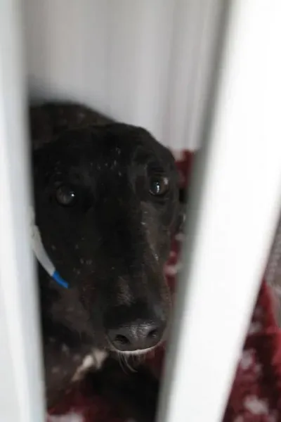 11018065 1014949351856097 4065619847818714518 n