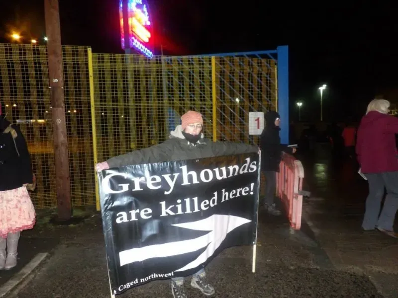 11018306 904663029578510 8387988647663669146 n