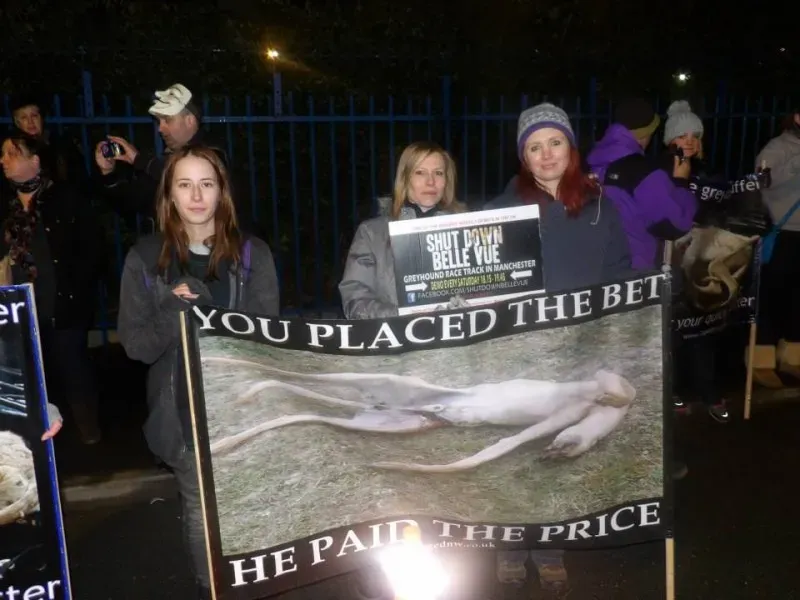 11018584 904662469578566 4172954419713250282 n