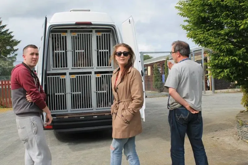 11018798 1014949731856059 5858481982301031709 n