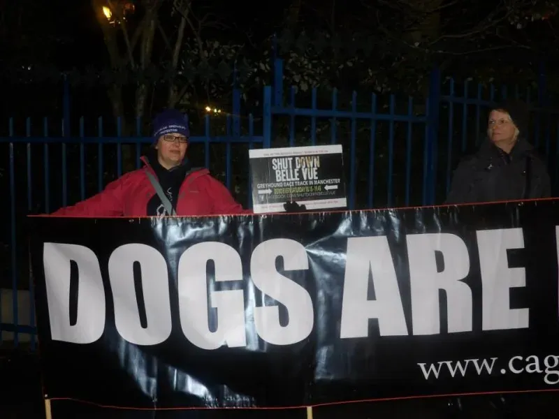 11018909 904662772911869 6100428702103888543 n