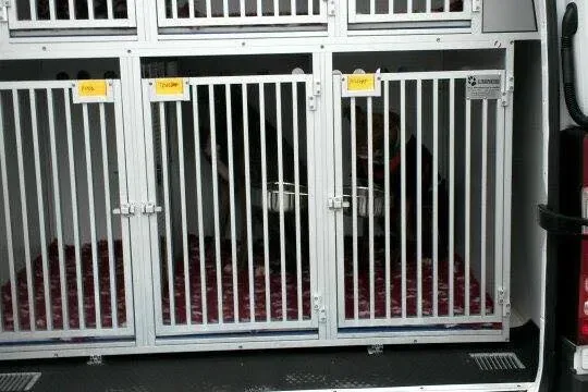 11018982 785489268201597 8596844184889244548 n