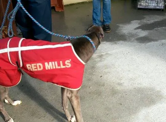 11020284 10204803660589167 623655763 n