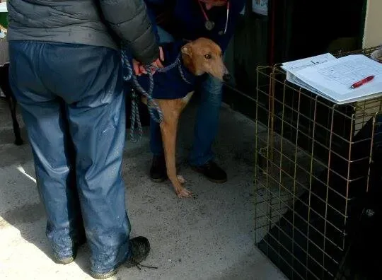 11020359 10204803752671469 1463324644 n