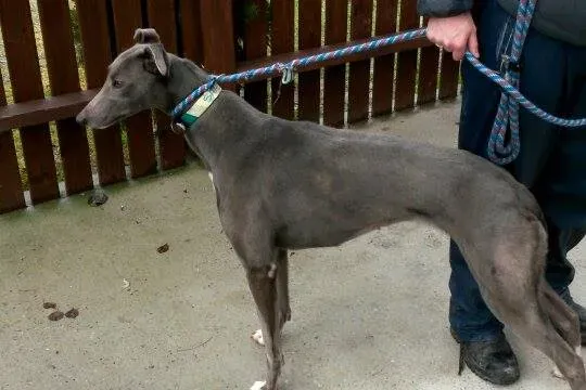 11020365 10204803844473764 1841384916 n