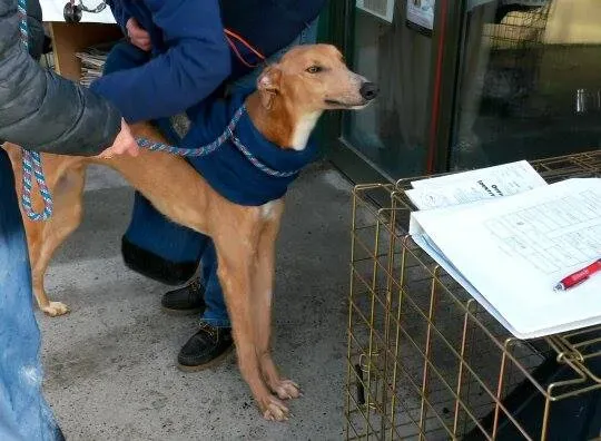 11020373 10204803753951501 1055589988 n