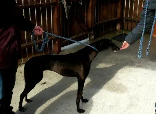 11020414 10204803769071879 1954705477 n