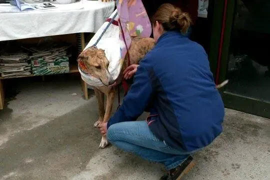 11020919 10204803890834923 1411585305 n