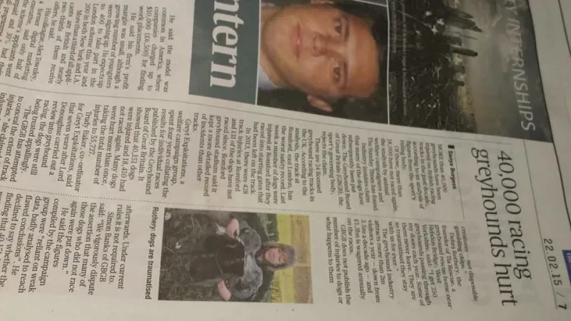 11021252 716921415072321 1190899206913271129 n