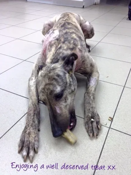 11026165 943074475726669 3098378167507122380 n