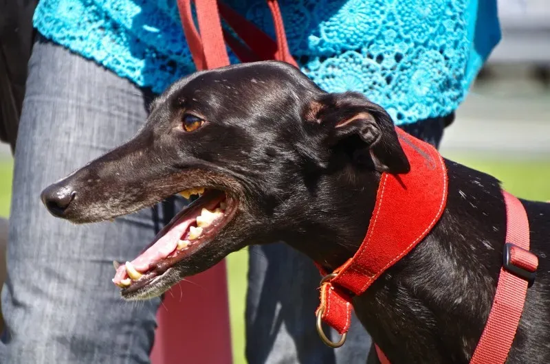 11026252 10202939889337528 2208415171969009426 o