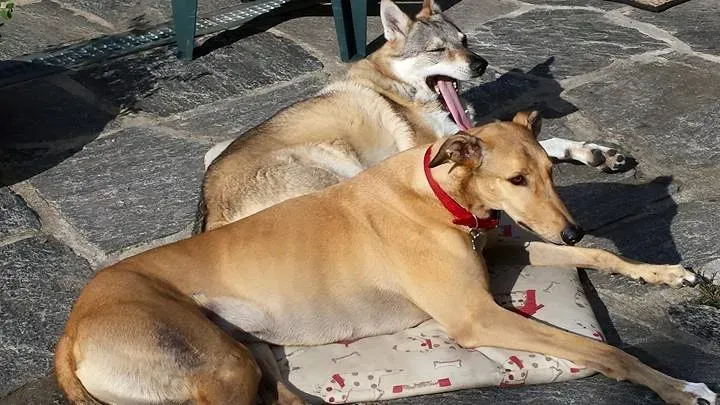 11026286 954470974612074 5361269409425555815 n