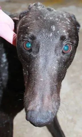 11026524 10152574973010194 863065496 n