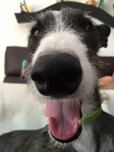 11027466 852822284801628 8586010968590856026 n