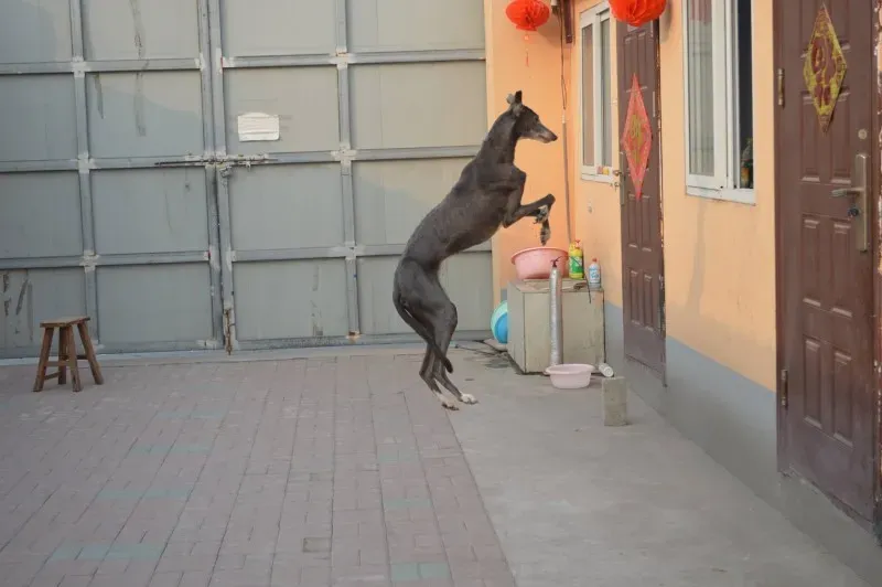 11027951 1749444771949826 175435487563465886 o