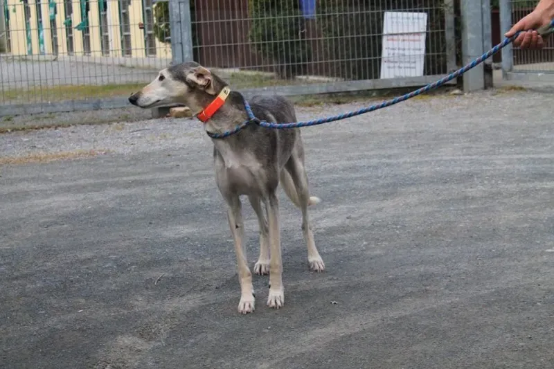 11031771 1014947278522971 4341172459989247497 n