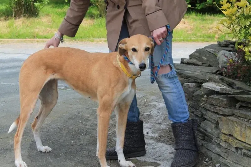 11031771 1014948748522824 8073007507487502255 n