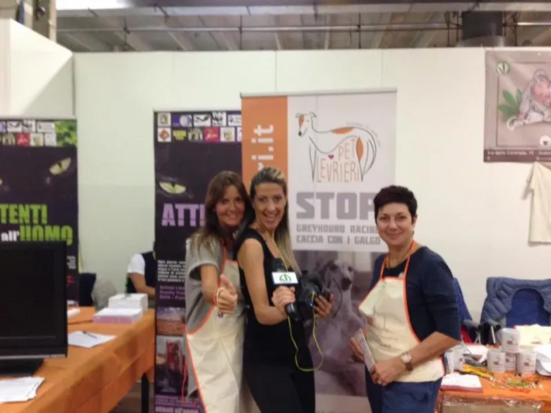 11036416 10205853157100504 706557433524357806 n