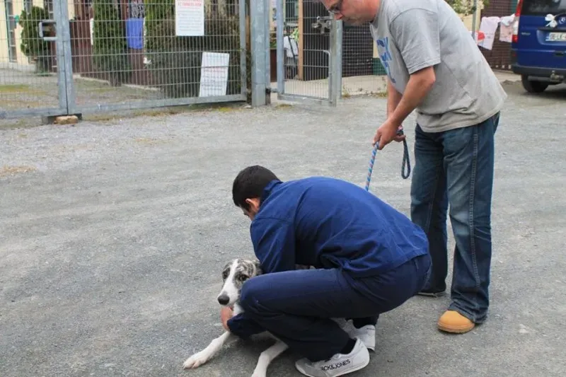 11036420 1014947618522937 3081640170278455234 n