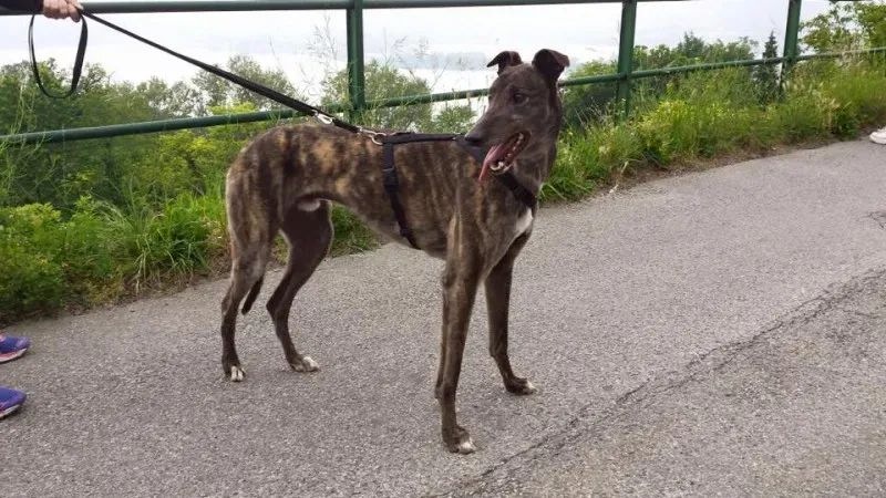 11036669 852786204812984 6195354416989127092 n