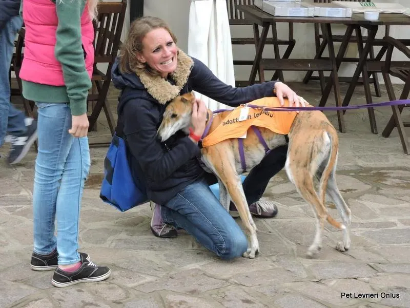 11036753 918536121563577 39350212039300486 n