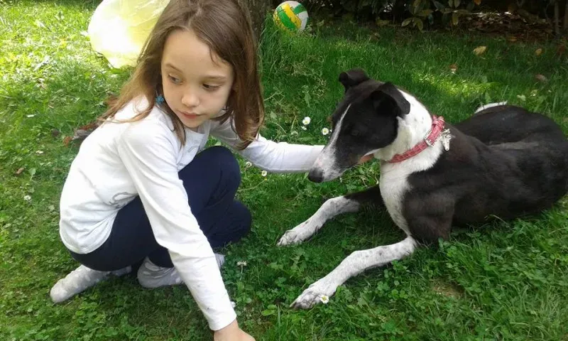 11037878 1591679187776276 1885250940556024543 n