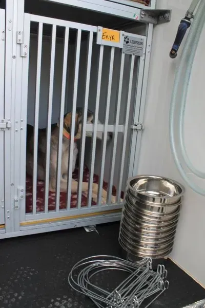 11038924 1014947485189617 8601413216648677596 n