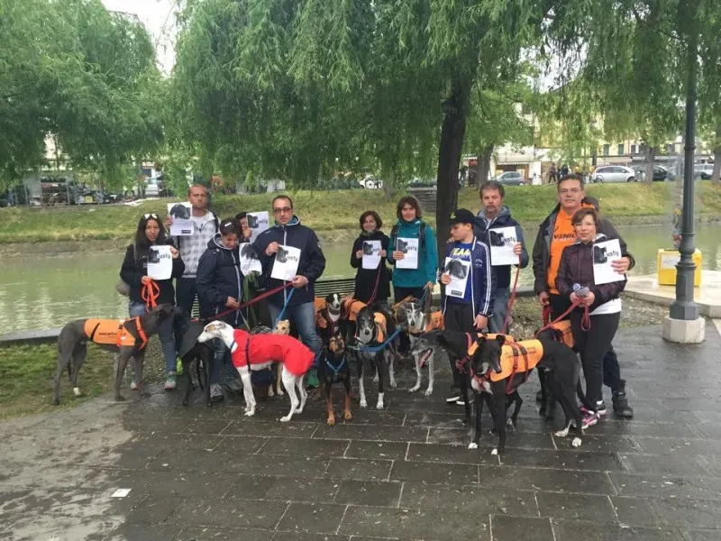 11039144 821754374575086 8777554521127343822 n