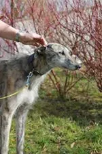 11039347 10152574959905194 318404247 n