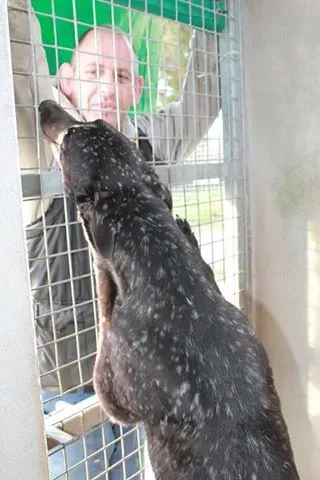 11039466 10152574973490194 462070356 n