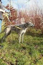 11039555 10152574963975194 299850721 n