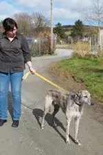 11040137 10152574964170194 712340901 n