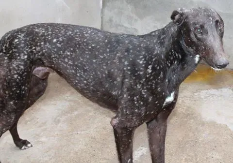 11040309 10152574980705194 1918277686 n