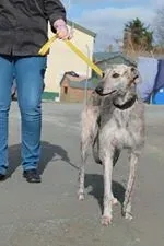 11040772 10152574964400194 1046776271 n