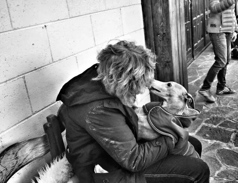 11041186 10206304837128123 2899625167186635986 o