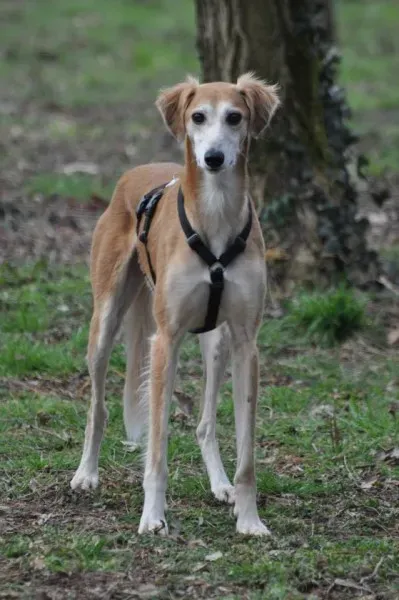 11041744 445619808921077 8917581672208149581 n