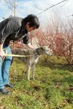 11041982 10152574961390194 1747796743 n