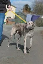 11042066 10152574963910194 212986695 n