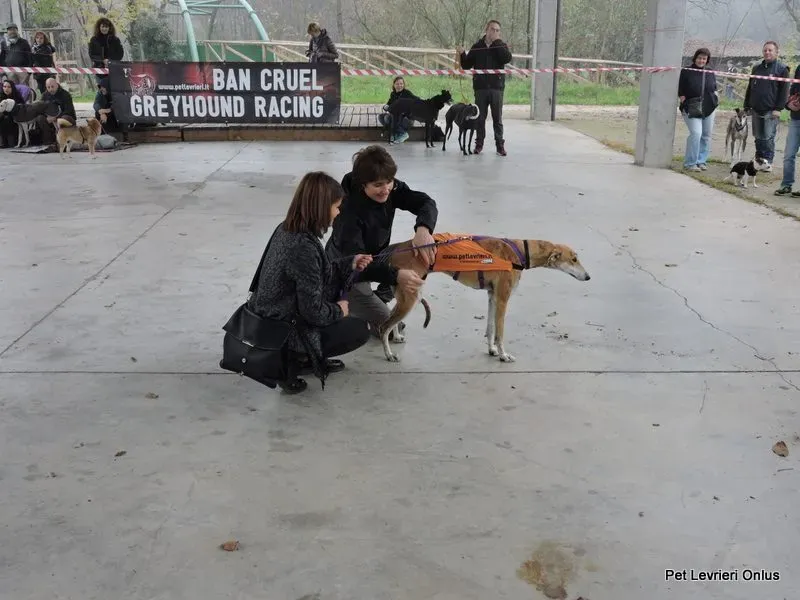 11046360 918529884897534 559127811088490322 n