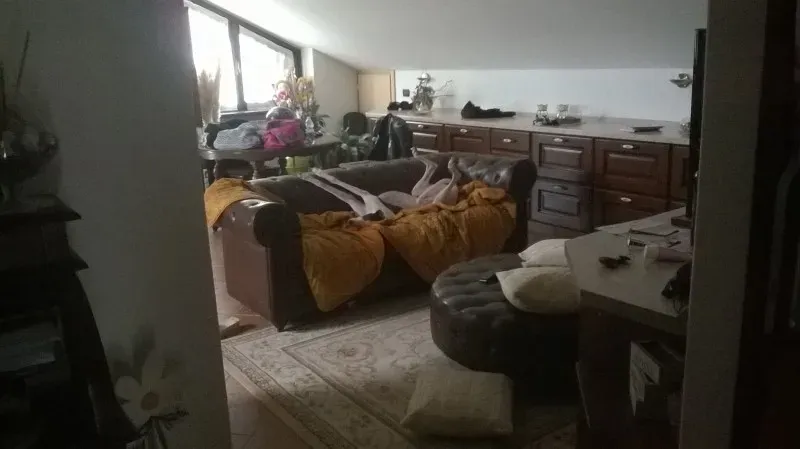 11046506 10207261953012802 8696608805941469010 o