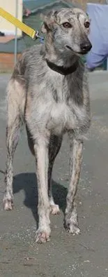 11047257 10152574963740194 1956988597 n