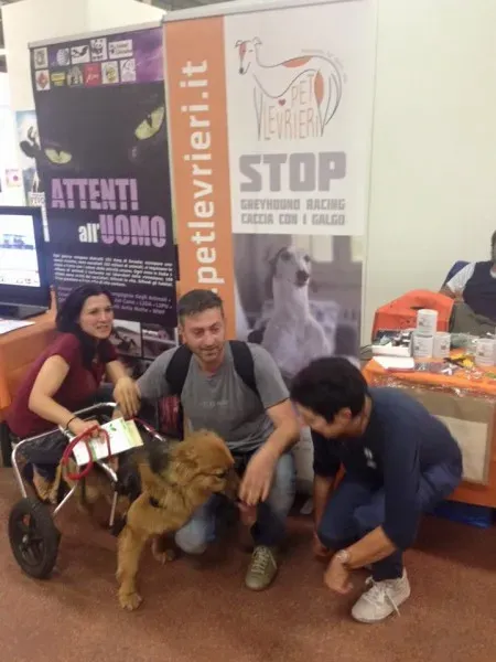 11048604 10205854177526014 4767907665379358806 n