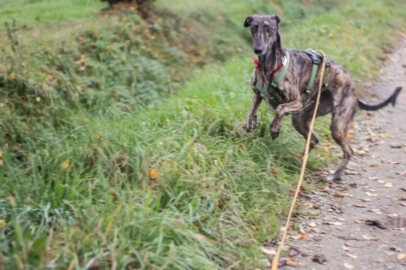 11048649 10207340480657629 3431908127215027139 n